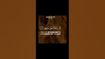 سورة التين Surah At-TinSurah At-Tin Benefits: the Health Rewards - Arabian Tongue