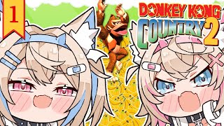 【DONKEY KONG COUNTRY 2】this is just BANANAS 🍌【スーパードンキーコング2】