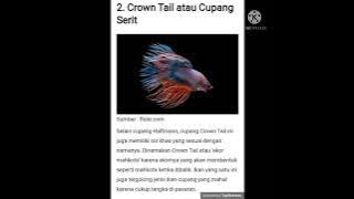 20 jenis ikan cupank #duniaikan#