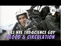 The Science of Blood Flow and G-Forces in Flight
