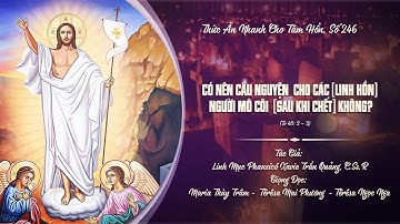 Số 246: CÓ NÊN CẦU NGUYỆN CHO CÁC NGƯỜI MÔ CÔI KHÔNG? - Lm. Phanxicô Xavie Trần Quảng, C.Ss.R.,