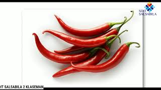 Ajar Basa Jawa Wulangan 1 Kelas 2 Tanduran SDIT Salsabila 2 Klaseman