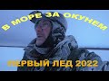 В море за окунем! Рыбинка FOREVER 2022!