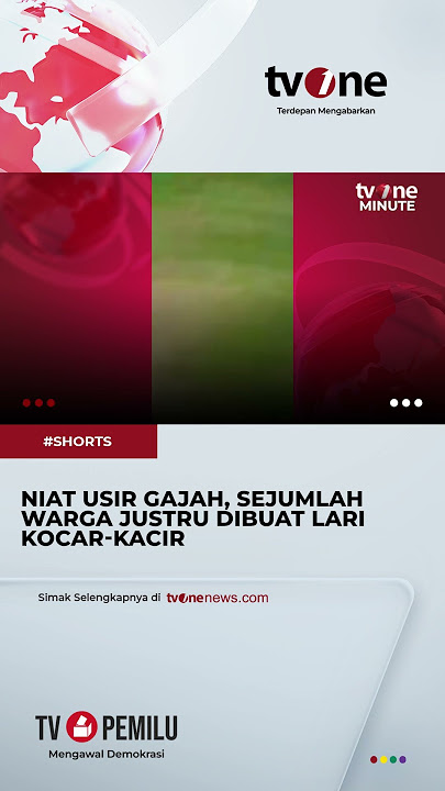 Download lagu Aksi Sejumlah Warga Usir Gajah yang Masuk Sawah, Endingya Justru Berbalik #shorts #tvone #news