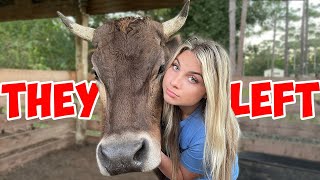 You Won't Be Seeing These Animals On The Farm Anymore! *UPDATE ON ALL MY ANIMALS* 40+ Pets!
