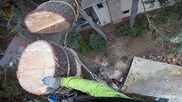 Negative Block Rigging Big Tops and Large logs