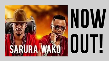 Jah Prayzah ft Dj Tira - Sarura Wako Official Audio 2023