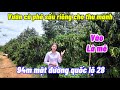SIÊU PHẨM sầu riêng , cà phê ngay quốc lộ 28 vào là mê. Nguồn thu mạnh .