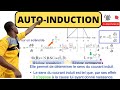 Autoinductionresum du courstechniquescodessecrets