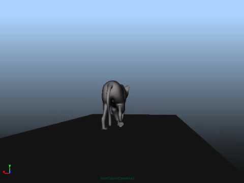Cat Walk Cycle - Different Speeds Turnaround