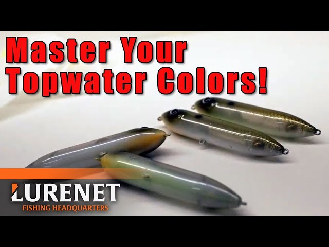 Watch This Video Before Painting Topwater Lure Blanks (Frank