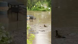 A new river popped up overnight in Preston, MN thanks to the rain