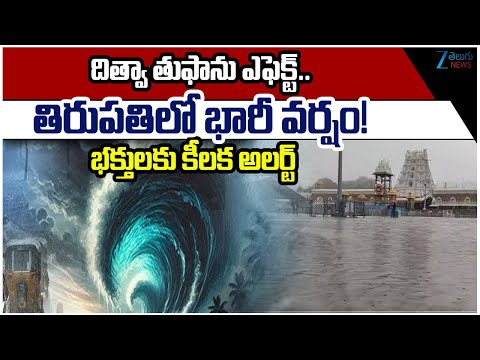 Cyclone Ditwah Effect: Rain in Tirumala Causes Trouble for Devotees | Zee Telugu News - ZEE24TELUGUNEWS