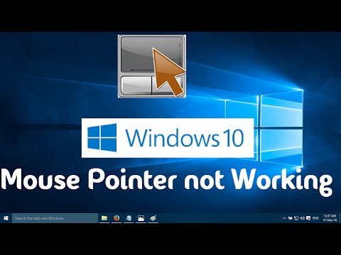 Mouse Pointer not Working in Windows 10 (One Simple Solution)