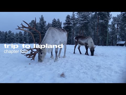 trip to lapland (ch 4)