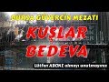 Türkiye'deki En Ucuz Güvercin Mezatı Bursa