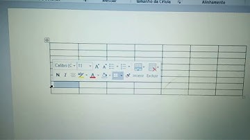 Informática Aula 26-04: Explicação da tabela como inserir e excluir linhas e colunas