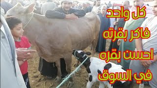 اسعار البقر الوالد من سوق كفر الشيخ اليوم 9/30كل واحد ماسك في رقبه بقرته وبيقول هي دي اللي في السوق