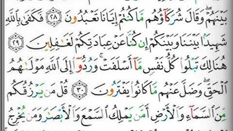 مصحف التجويد المرتل صفحة 212 محمد أيوب
