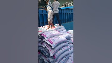 công việc mỗi ngày của tui