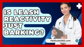 Is Leash Reactivity Just Barking? - PetGuide360.com