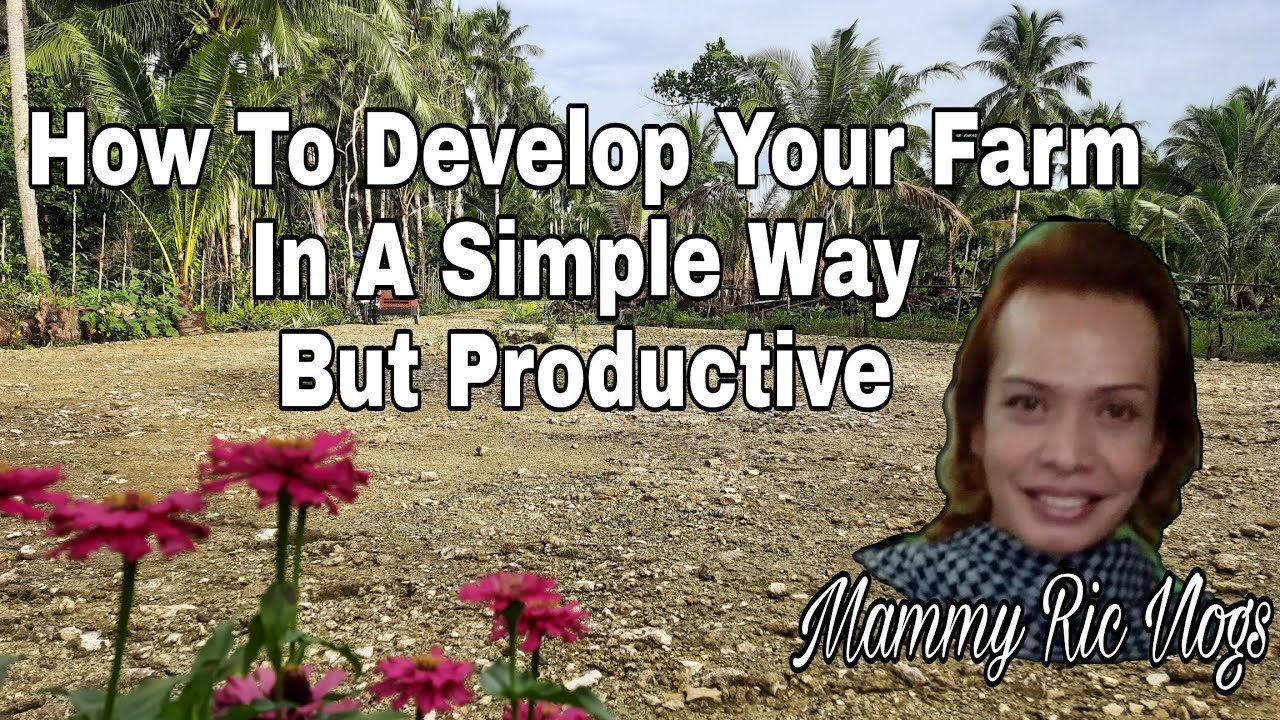 How To Develop Your Farm In A Simple Way But Productive - YouTube