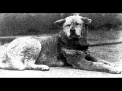 Hachiko Real Story