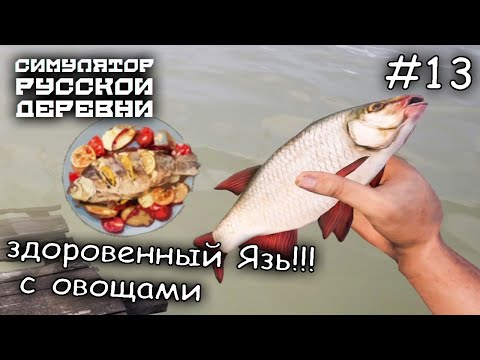 Видео: ловлю рыбу, ищу грибы, готовлю еду. Как же я устал... #13 ► Russian Village Simulator