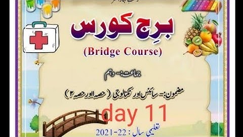 std 10 science 1 bridge course day 11حل کے ساتھ MHboard
