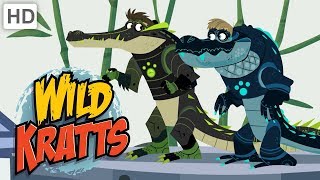 Wild Kratts  Alligators vs. Crocodiles! | Kids Videos