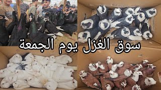 سوق الغزل يوم الجمعة الوكفة الخاصة بالحمام مطيار وحمام زينة انواع كثيرة 2024/5/3