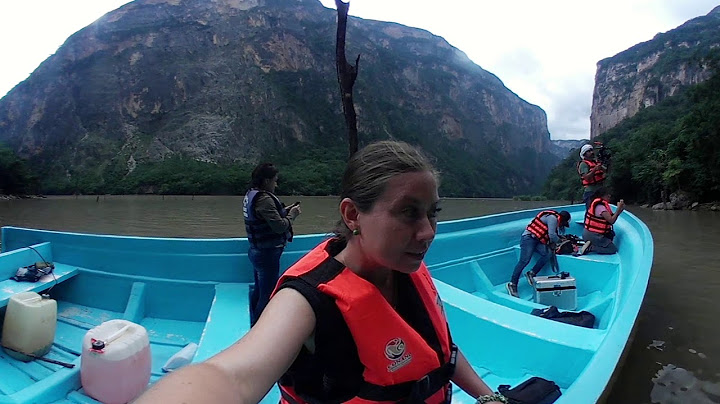 Los cocodrilos que habitan el Cañón del Sumidero