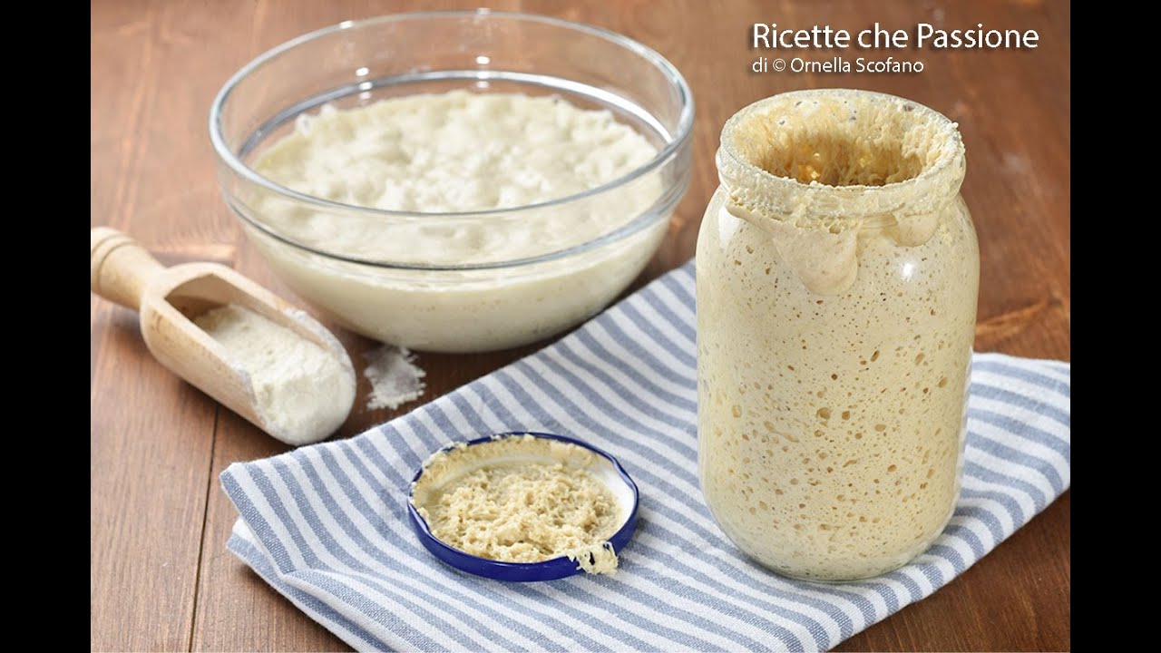 Lievito madre fatto in casa Ricette che Passione YouTube Lievito madre fatto in casa Ricette che Passione YouTube