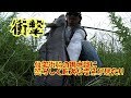 【雷魚釣り】住宅密集地脇の用水路で巨大雷魚入れ食い!!日本の水路は怪魚パラダイス!？80over3連発前編 snakehead fishing in Japan