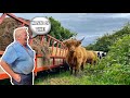 NO GRASS FOR COWS - FARMER GOES ON A RANT!