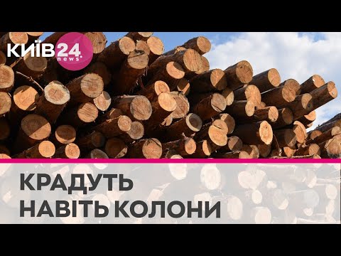 Телеканал Київ: Окупанти вивозять незаконно вирубаний ліс з Мелітополя