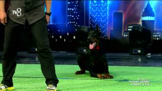 Yetenek Sizsiniz Savaş Ve Matein 2.Tur Performansı 6.Sezon 41.Bölüm