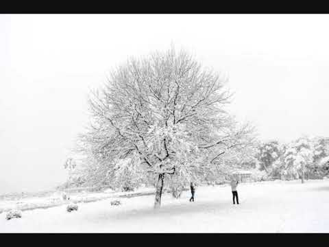وديع الصافي وهدى يا بو مرعي