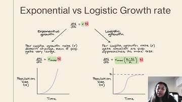 math final video project