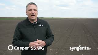 Syngenta Casper 50 WG herbicid kukuruz