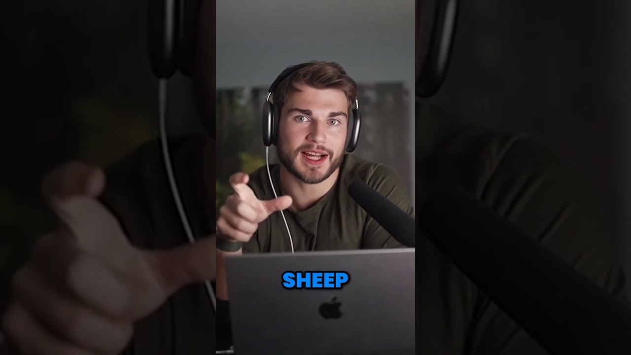 Have you found the money side of Twitter?