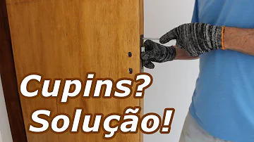 Como acabar com cupim dentro da porta?