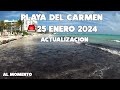 PLAYA DEL CARMEN ULTIMA HORA🔴ACTUALIZACION 25 ENERO 2024 | PLAYA 88 Y MAMITAS