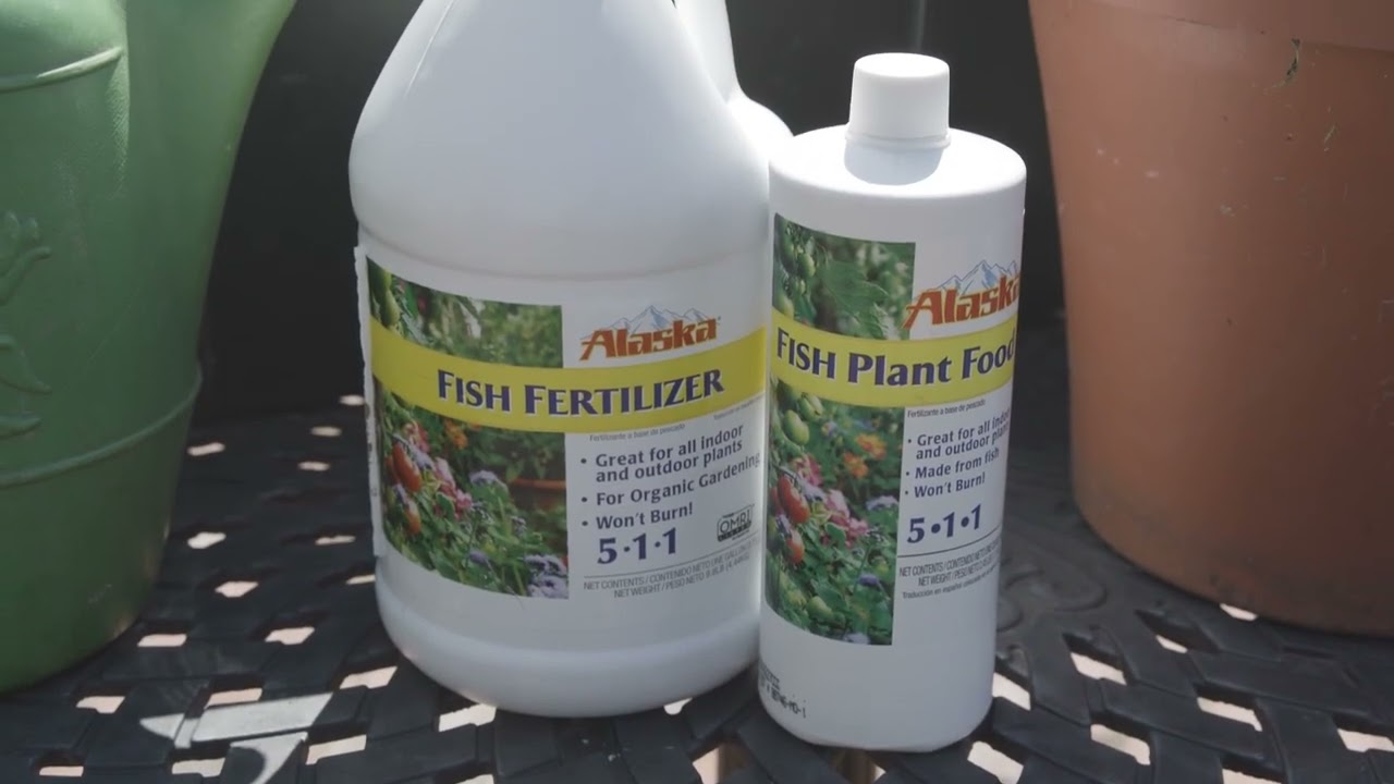 Using Alaska Fish Fertilizer To Grow Healthy Vigorous Plants 