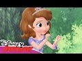 Sofia Den Første Amber Og Karnevalskonkurransen Disney Junior Norge Sofia Den Første Amber Og Karnevalskonkurransen Disney Junior Norge