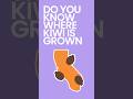Where Kiwi is Grown in California #shorts