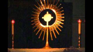 Video thumbnail of "Gesù, T'Adoriamo - Jesus, we Adore You - Canto di Adorazione - Medjugorje"