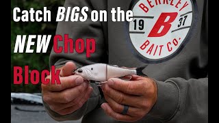 This Soft Glide Bait Gets CRUSHED | Edwin Evers on the Berkley Chop Block screenshot 2
