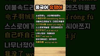 #기초중국어회화 #유행어
