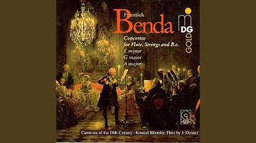 Flute Concerto in E Minor: I. Allegro con brio